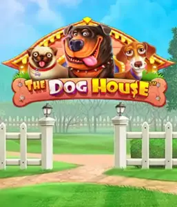 Experience Pragmatic Play's The Dog House adventure, bringing you a fun-filled experience into the world of playful pups. Engage in features including sticky wilds, designed for providing joyful moments. Ideal for animal enthusiasts a lighthearted atmosphere with a chance for big wins.